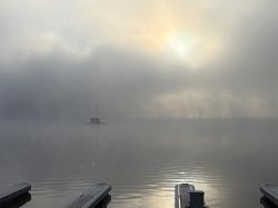 Njs26 Saw Lauchard 019