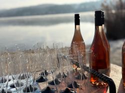 Njs26 Saw Lauchard 021