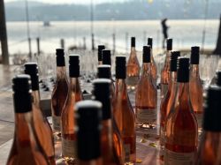 Njs26 Saw Lauchard 025