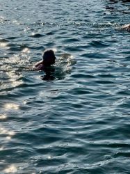 Njs24 Orf Rosenzopf 020